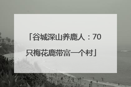 谷城深山养鹿人：70只梅花鹿带富一个村