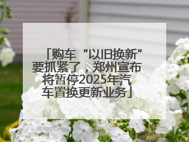 购车“以旧换新”要抓紧了，郑州宣布将暂停2025年汽车置换更新业务