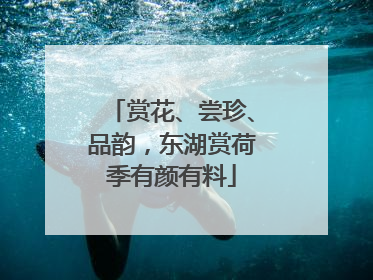 赏花、尝珍、品韵，东湖赏荷季有颜有料