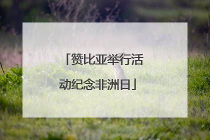 赞比亚举行活动纪念非洲日