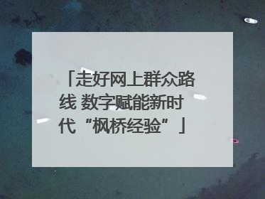 走好网上群众路线 数字赋能新时代“枫桥经验”