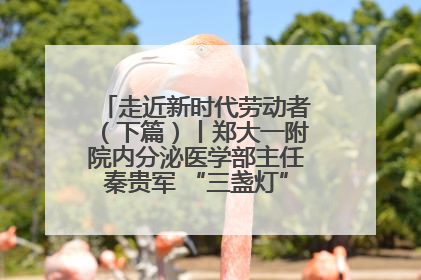 走近新时代劳动者（下篇）丨郑大一附院内分泌医学部主任秦贵军 “三盏灯”下的医者人生