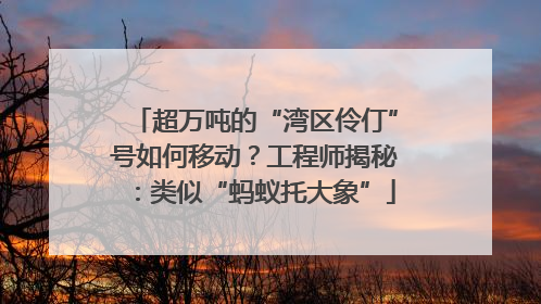 超万吨的“湾区伶仃”号如何移动？工程师揭秘：类似“蚂蚁托大象”