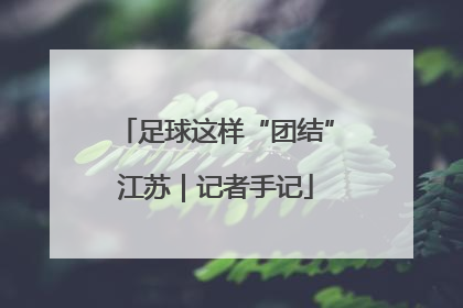 足球这样“团结”江苏｜记者手记