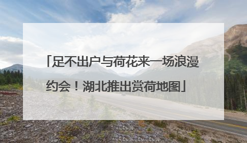 足不出户与荷花来一场浪漫约会！湖北推出赏荷地图