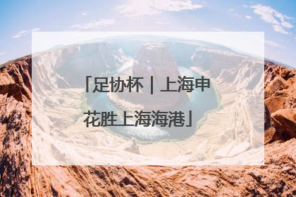 足协杯｜上海申花胜上海海港
