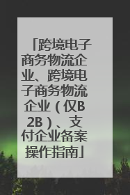 跨境电子商务物流企业、跨境电子商务物流企业（仅B2B）、支付企业备案操作指南