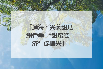 通海：兴蒙甜瓜飘香季 “甜蜜经济”促振兴
