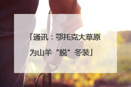 通讯：鄂托克大草原为山羊“脱”冬装