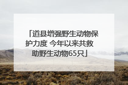 道县增强野生动物保护力度 今年以来共救助野生动物65只