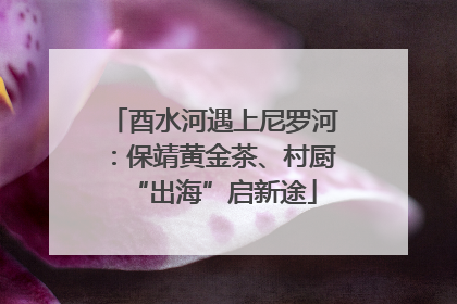 酉水河遇上尼罗河：保靖黄金茶、村厨“出海”启新途