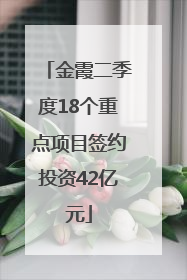 金霞二季度18个重点项目签约投资42亿元