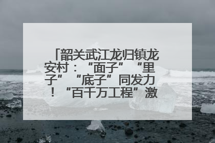 韶关武江龙归镇龙安村：“面子”“里子”“底子”同发力！“百千万工程”激活乡村新动能