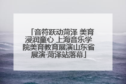 音符跃动菏泽 美育浸润童心 上海音乐学院美育教育展演山东省展演·菏泽站落幕