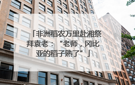 非洲稻农万里赴湘祭拜袁老：“老师，冈比亚的稻子熟了”