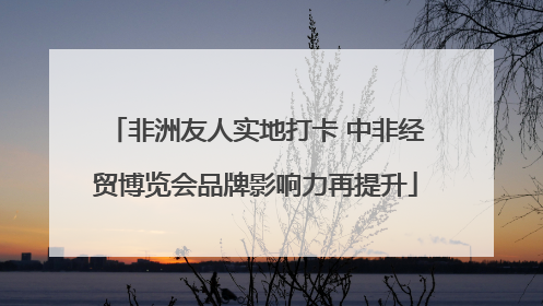 非洲友人实地打卡 中非经贸博览会品牌影响力再提升