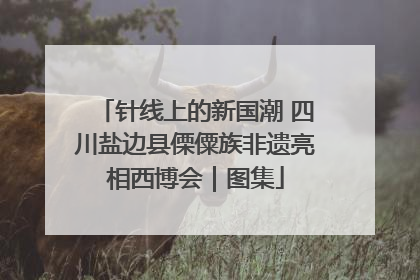 针线上的新国潮 四川盐边县傈僳族非遗亮相西博会｜图集