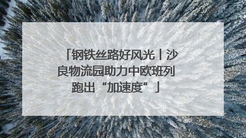 钢铁丝路好风光丨沙良物流园助力中欧班列跑出“加速度”