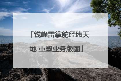 钱峰雷掌舵经纬天地 重塑业务版图