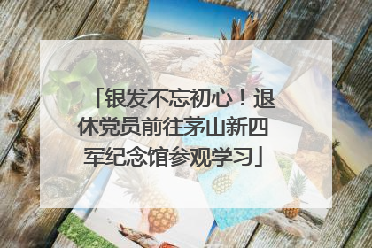 银发不忘初心！退休党员前往茅山新四军纪念馆参观学习