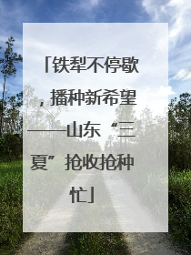 铁犁不停歇，播种新希望——山东“三夏”抢收抢种忙