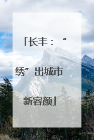 长丰：“绣”出城市新容颜