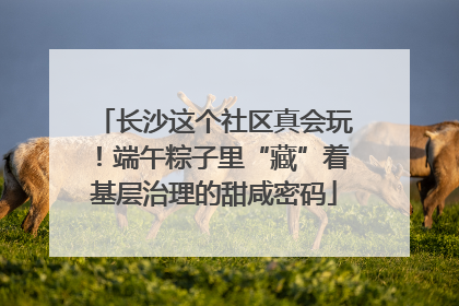 长沙这个社区真会玩！端午粽子里“藏”着基层治理的甜咸密码