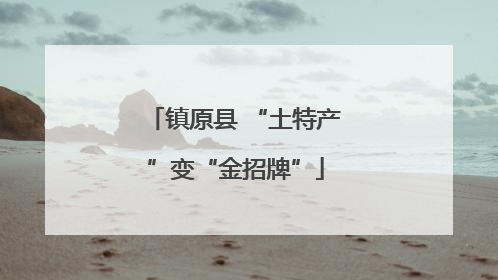 镇原县 “土特产”变“金招牌”