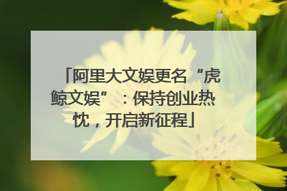 阿里大文娱更名“虎鲸文娱”：保持创业热忱，开启新征程