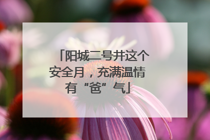 阳城二号井这个安全月，充满温情有“爸”气
