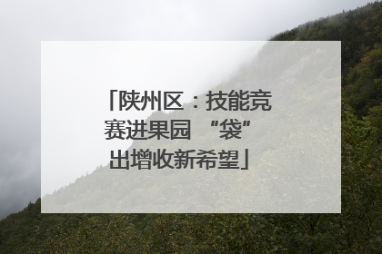 陕州区：技能竞赛进果园 “袋”出增收新希望