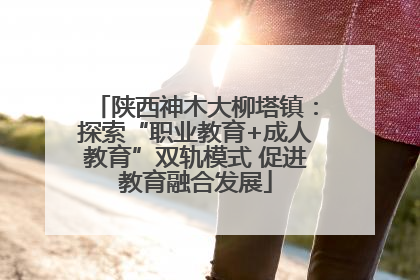 陕西神木大柳塔镇：探索“职业教育+成人教育”双轨模式 促进教育融合发展