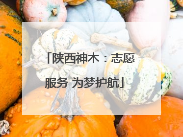 陕西神木：志愿服务 为梦护航