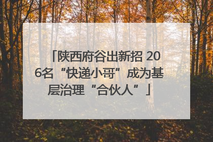 陕西府谷出新招 206名“快递小哥”成为基层治理“合伙人”