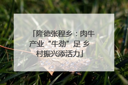 隆德张程乡：肉牛产业“牛劲”足 乡村振兴添活力