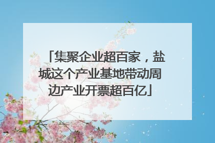 集聚企业超百家，盐城这个产业基地带动周边产业开票超百亿