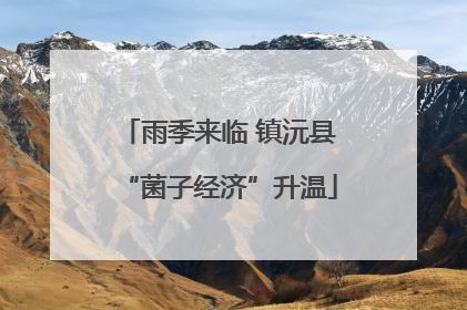 雨季来临 镇沅县“菌子经济”升温
