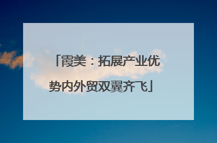 霞美：拓展产业优势内外贸双翼齐飞