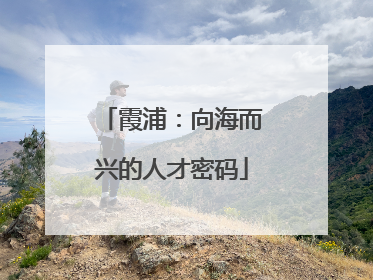霞浦：向海而兴的人才密码