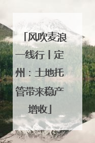 风吹麦浪一线行丨定州：土地托管带来稳产增收