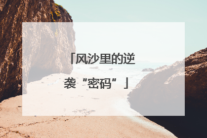 风沙里的逆袭“密码”