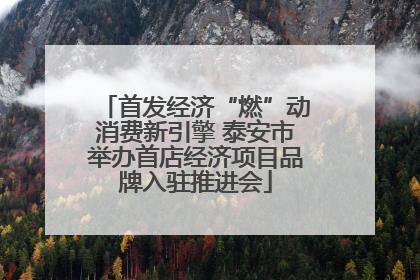 首发经济“燃”动消费新引擎 泰安市举办首店经济项目品牌入驻推进会