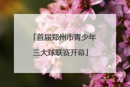 首届郑州市青少年三大球联赛开幕