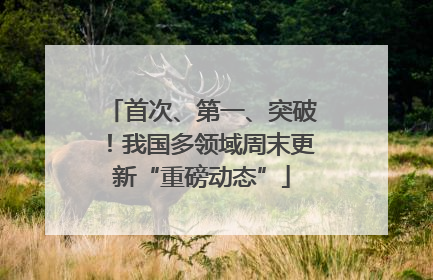 首次、第一、突破！我国多领域周末更新“重磅动态”
