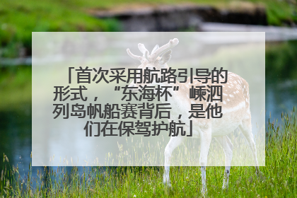 首次采用航路引导的形式，“东海杯”嵊泗列岛帆船赛背后，是他们在保驾护航
