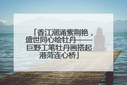 香江潮涌紫荆艳，盛世同心绘牡丹——巨野工笔牡丹画搭起港菏连心桥