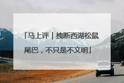 马上评｜拽断西湖松鼠尾巴，不只是不文明