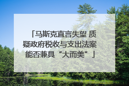 马斯克直言失望 质疑政府税收与支出法案能否兼具“大而美”