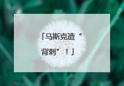 马斯克遭“背刺”！