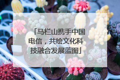 马栏山携手中国电信，共绘文化科技融合发展蓝图